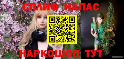 тгк Будённовск