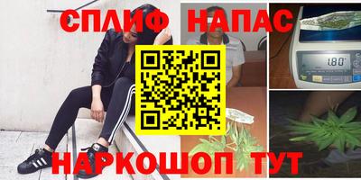 тгк Будённовск