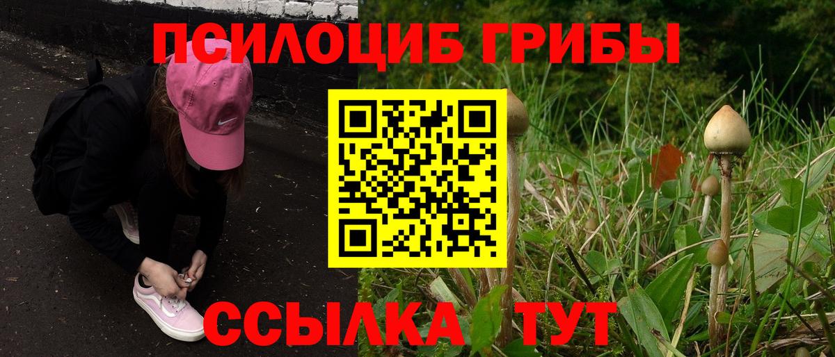 Галлюциногенные грибы GOLDEN TEACHER Протвино