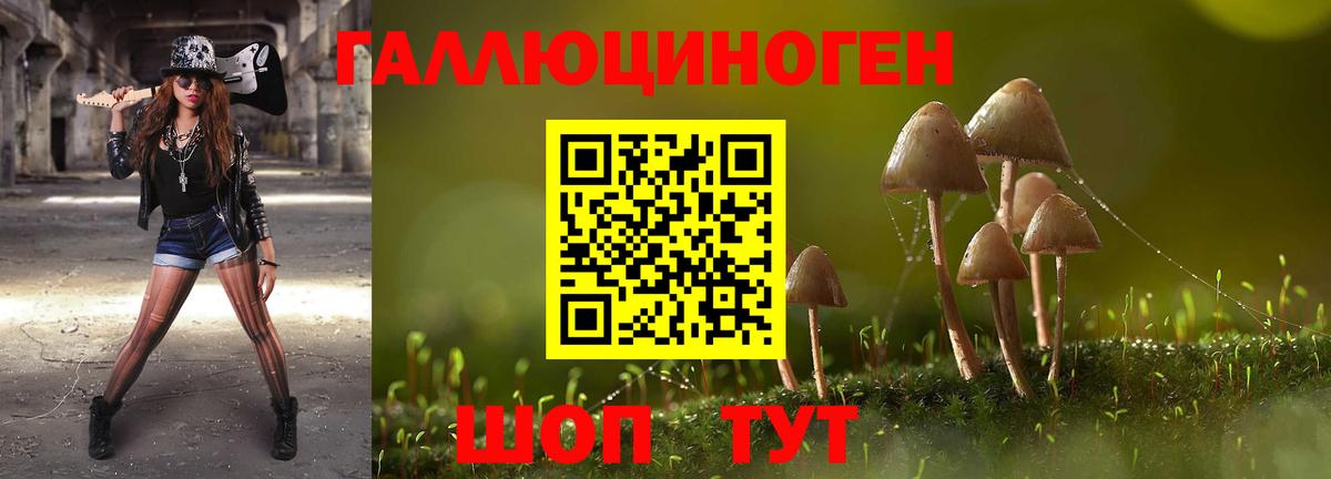 Протвино  закладка  Вход с VPN  Псилоцибиновые грибы Psilocybine cubensis  Галлюциногенные грибы Psilocybine cubensis 